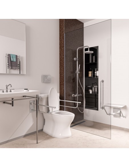 Barrierefreies Bad Mit Black Zonda Ablauf, Haltegriffen Und Dusche