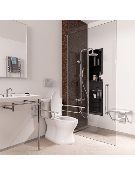 Barrierefreies Bad Mit Silver Reversible Ablauf, Haltegriffen Und Dusche
